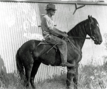 Photograph, Bill Crosbie (Snr), aged 68 on "Goodies Star", 2yr old Racehorse, c.1950