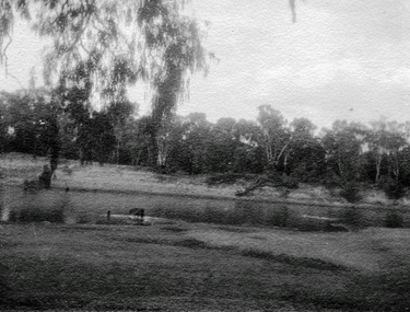 Photograph, Merbein River Scene, unknown