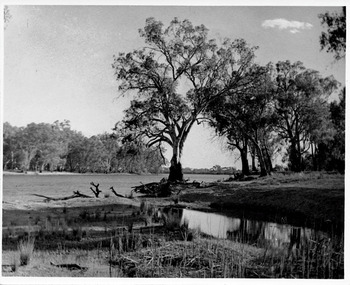 Photograph, Cowanna Bend Early 1950's Start of washout, c.1953