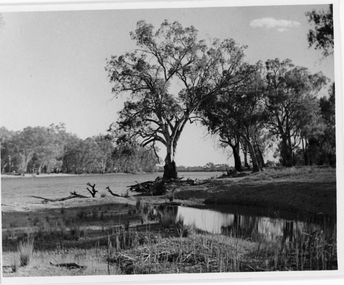 Photograph, Cowanna Bend cutoff towards Merbein, unknown