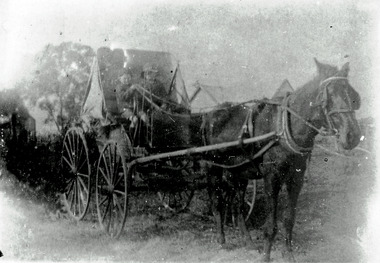 Photograph, Crosbie Family in Gig - 4th Street, unknown