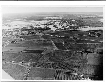 Photograph, Vineyards surrounding Merbein Pumps, unknown