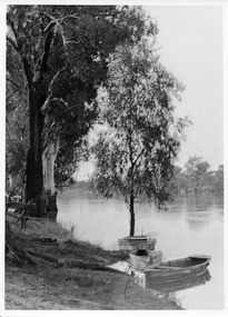 Photograph, Boats moored at Hut below Mildara Winery, c.1950's