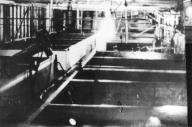 Photograph, Original Fermenting Cellar with concrete tanks, c.1950