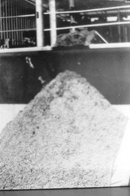 Photograph, Skins and Seeds coming from Grape Press, c.1950