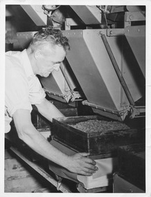 Photograph, Donald Kimpton, Mildura Co-op Merbein Branch Foreman, c.1950's