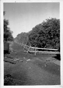 Photograph, Sprayline at Captain Halstead's Merbein block, unknown