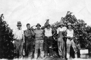 Photograph, Alex Bruce's Block - workers Don Kimpton 2nd left, unknown