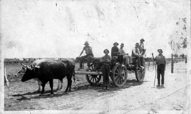 Photograph, Tonzing Family on bullock dray, South Merbein, unknown