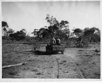 Photograph, Merbein Scrub, 1953