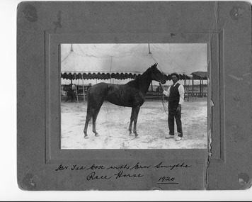 Photograph, Race Horse, 1920