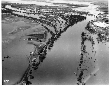 Photograph, Merbein 1956 Floods, 1956