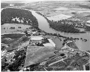 Photograph, Merbein 1956 Floods, 1956