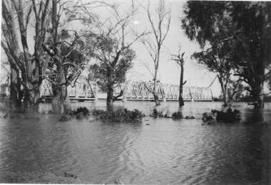 Photograph, Murray River flood Abbotsford, 1956