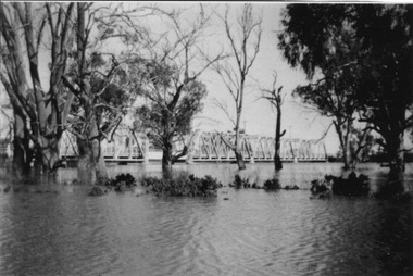 Photograph, Murray River flood Abbotsford Bridge, 1956