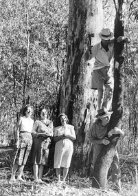 Photograph, Witchetty Tribe Day at Cowra ?, c.1947