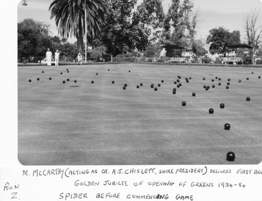 Photograph, Merbein Bowling Club Golden Jubilee, 1984