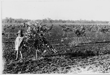 Photograph, Bennett, Ray  6 yrs, 1939