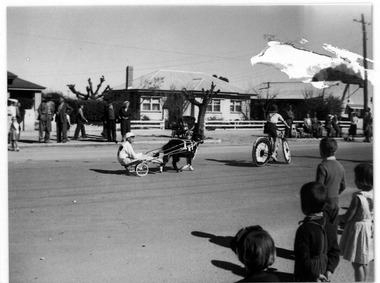 Photograph, 1959 Anniversary Parade Goat Cart, 1959