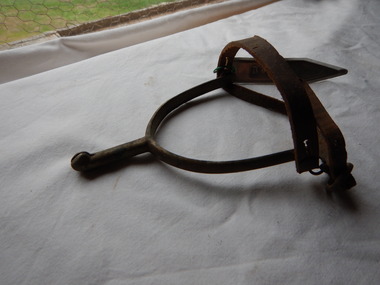 Equipment - Spur
