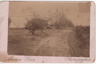 Photograph, Martin Bros, 1900 (Approximate)