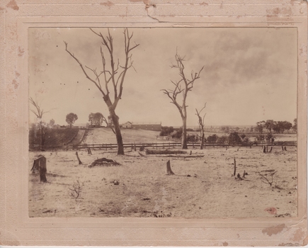 Photograph of Mt Ophir cellar