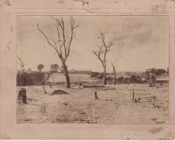 Photograph of Mt Ophir cellar