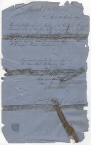 Document - Council permit, 1877 (Exact)