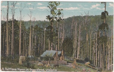 Postcard - Postcards