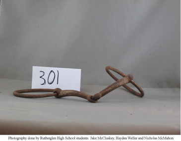 Horse's Bit