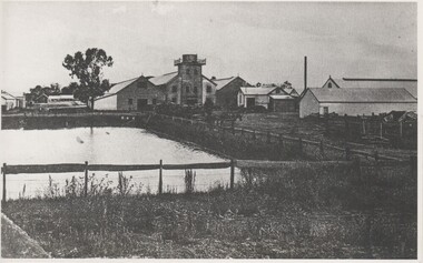 Photograph - Image, c1910