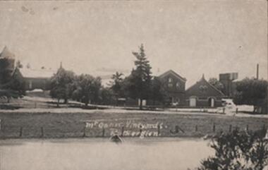 Photograph - Image, 1914-1920 (Approximate)
