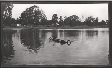 Photograph - Image, 1930 (Approximate)