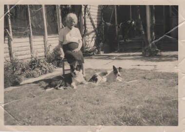 Photograph - Image