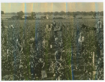 Image, 1920s