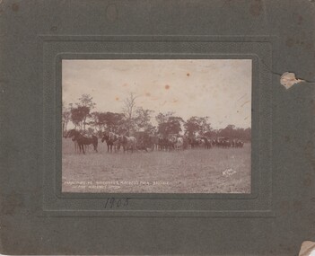 Image, 1905