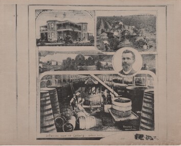 Newspaper - Image, The Leader, 14/04/1894