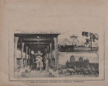 Newspaper - Image, The Leader, Views of Fairfield - Vineyard and Cellerage, Rutherglen, 14/04/1894