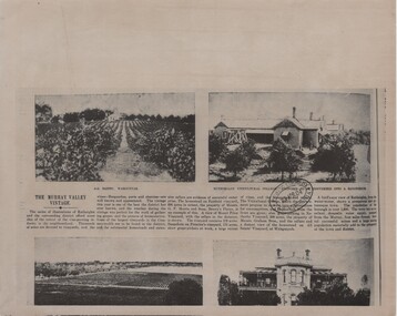 Photograph - Image, Australasian, The Murray Valley Vintage, 23/04/1904