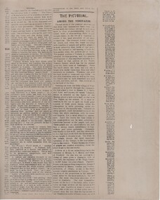 Newspaper - Newspaper article, Australasian, The Pictorial. Among the Vineyards, 23/03/1889