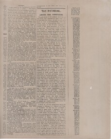 Newspaper - Newspaper article, Australasian, The Pictorial. Among the Vineyards, 23/03/1889