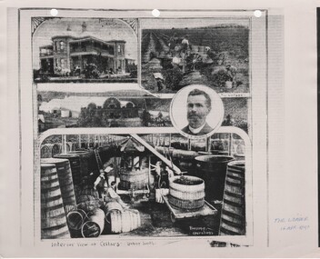 Newspaper - Image, The Leader, 14/04/1894