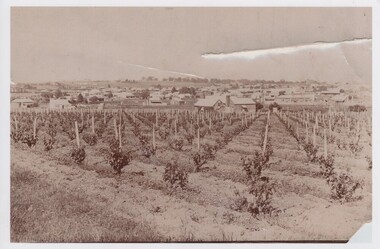 Images, 1890s