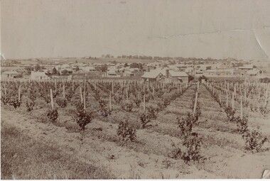 Images, Mid to late 19th Century
