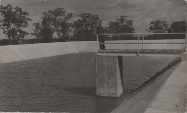 Photograph - Image, c1950