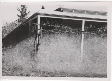 Image, May 1955