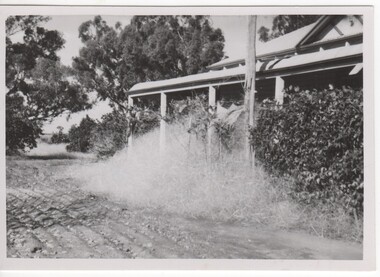 Image, May 1955
