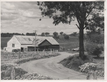 Image, Brian J. Blackie, c1980