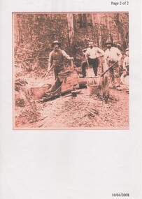 Image, c1860