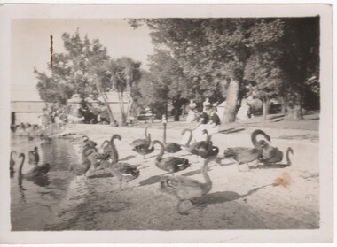 Image, 1938 (Exact)